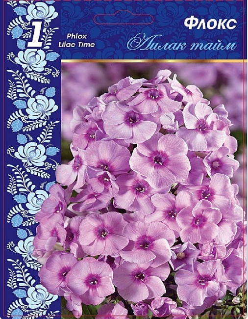 Флокс Лилак Тайм 